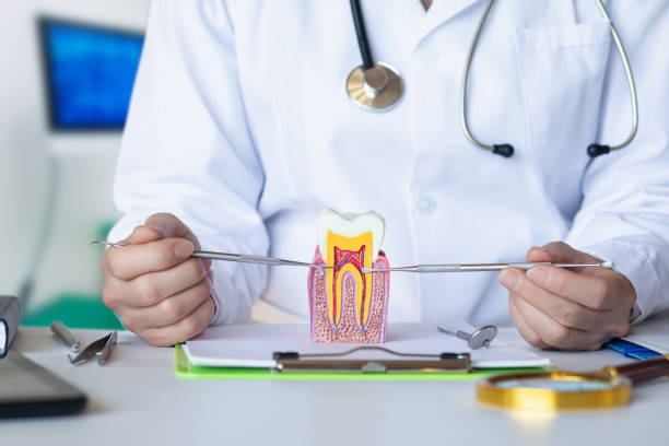 Best Emergency Dental Care for Broken or Chipped Teeth in Glencoe, AL